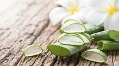 ALOES - modna dieta na jesień