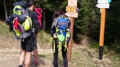 Beskid Sądecki z plecakiem i z ...psem 