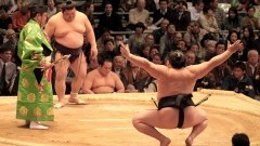 Co wiesz na temat sumo? Najważniejsze informacje