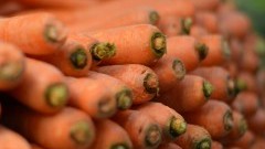 Eco targi, czyli zdrowe zakupy