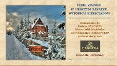 Komfort i Rekreacja w Malowniczej Bieszczadzkiej Krainie!