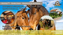 Hotel Karczma Stara Stajnia