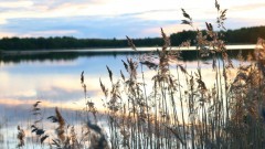 Jesienią nad jezioro Jasień