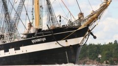 Morski olbrzym w Świnoujściu