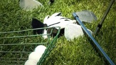 Niezbędnik wiosennego golfisty