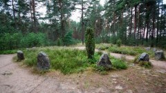 Swornegacie – magiczne miejsce u wrót Borów Tucholskich