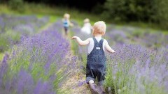 Tak wygląda najlepsze gospodarstwo agroturystyczne na Pomorzu. "Prowansja na Kaszubach" [ZDJĘCIA]