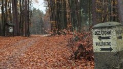 Turystom udostępniono poniemieckie bunkry na Mazurach