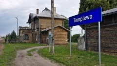 W Polsce odkryto dziwne mrówki żyjące w bunkrze atomowym