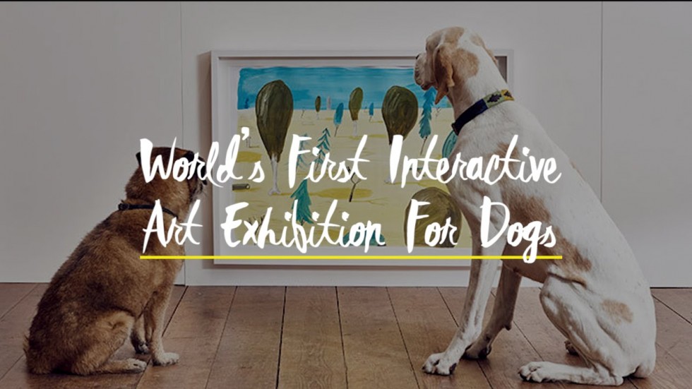 Pierwsza na świecie wystawa sztuki dla psów (wideo)