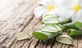 ALOES - modna dieta na jesień