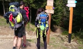 Beskid Sądecki z plecakiem i z ...psem 