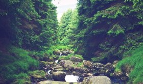 Do sanatorium po zdrowie