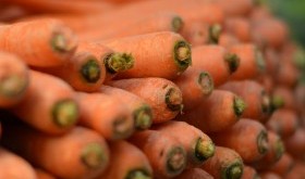 Eco targi, czyli zdrowe zakupy