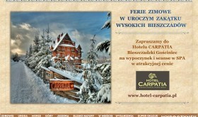 Komfort i Rekreacja w Malowniczej Bieszczadzkiej Krainie!