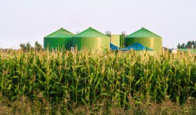 GOSPODARKA O OBIEGU ZAMKNIĘTYM W ROLNICTWIE