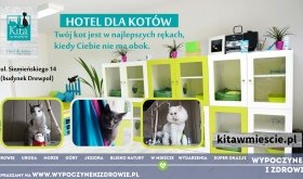 Hotel dla kotów "Kita w mieście". Twój kot - moja pasja. 