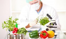 Innowacje w rolnictwie