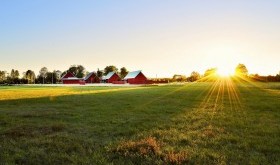 Jednodniowy rejs do Szwecji – ekspresowa wycieczka dla żądnych wrażeń!