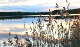 Jesienią nad jezioro Jasień