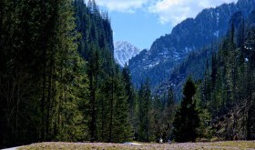 Kościelisko - Świetna baza noclegów w górach