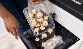 MARNOTRAWSTWO ŻYWNOŚCI - SKALA PROBLEMU I MOŻLIWOŚCI PRZECIWDZIAŁANIA