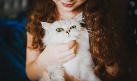 Miejsca przyjazne kotom