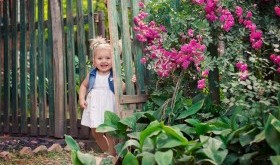 Naturalna pelargonia afrykańska pomocna w leczeniu przeziębienia