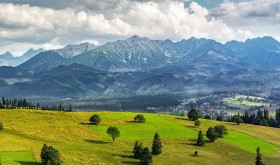 Nosalowy Park - otwórz się na nowe doświadczenia