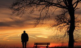 Opiekunka seniora pilnie poszukiwana