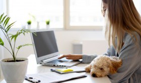 Praca zdalna a zdrowie - jak monitorować czas pracy?