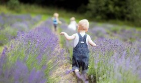 Tak wygląda najlepsze gospodarstwo agroturystyczne na Pomorzu. "Prowansja na Kaszubach" [ZDJĘCIA]