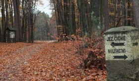 Turystom udostępniono poniemieckie bunkry na Mazurach
