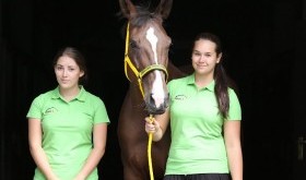 Walentynki z Mustangiem