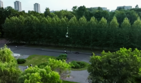 Zaangażowanie obywateli i lokalne zarządzanie. Żeby mieli wpływ na to, co, jak i za ile powstaje