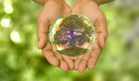 Zrównoważone i niskoemisyjne rolnictwo