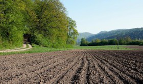 Zrównoważone rolnictwo