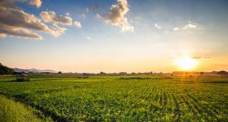 Wzmacnianie konkurencyjności gospodarstw rolnych w ramach Wspólnej Polityki Rolnej