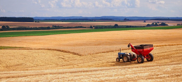 Wspólna Polityka Rolna UE – cele i zakres wsparcia