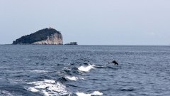 10 pytań do Pauliny Grabary