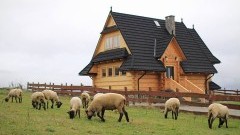 Pomysły na niezwykły Dzień Kobiet