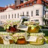 Majątek Ziemski Pałac Wiejce