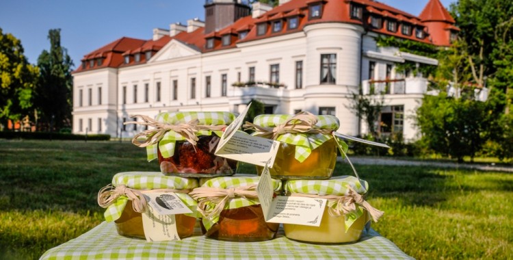 Majątek Ziemski Pałac Wiejce