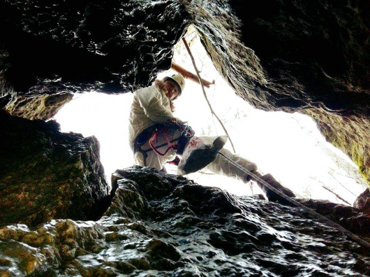 Jaskinia Sulmowa